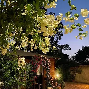 Il Girasole Bed & Breakfast